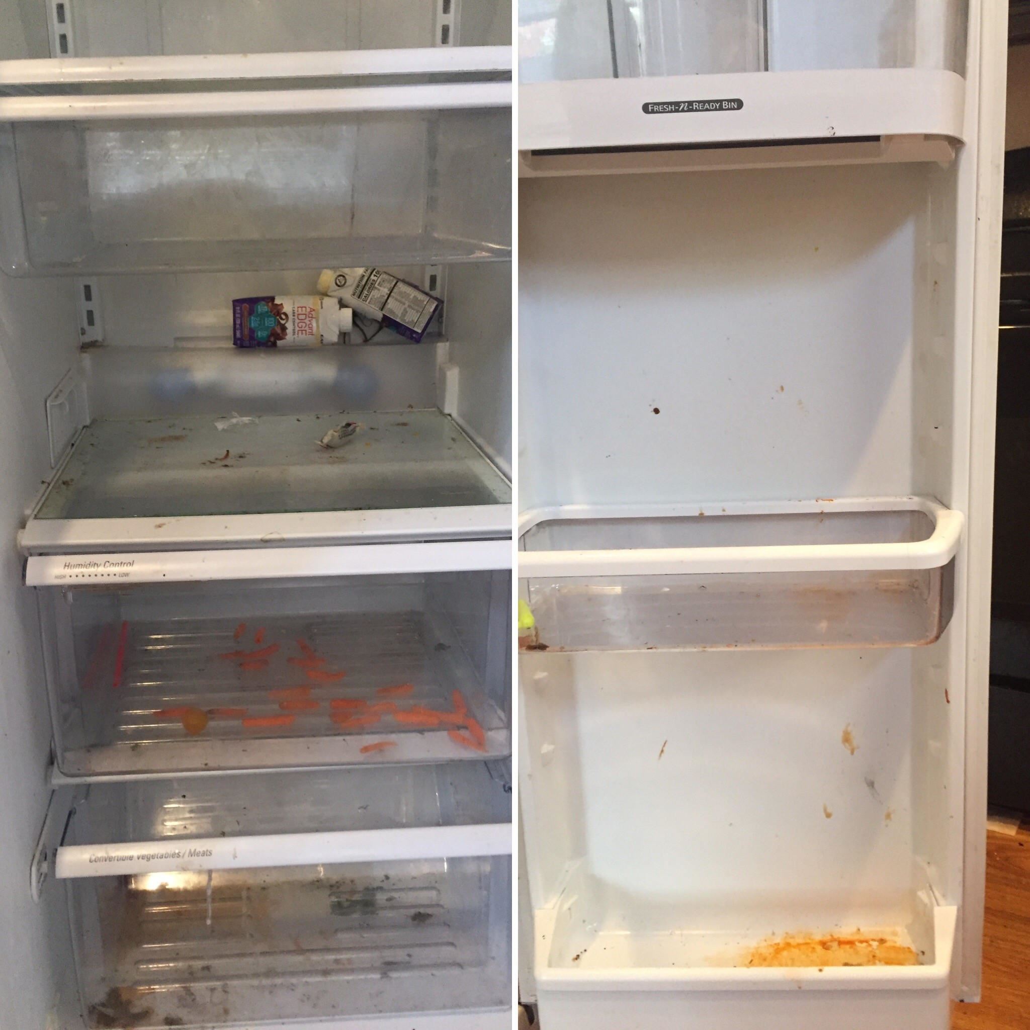 refrigerator before being cleaned